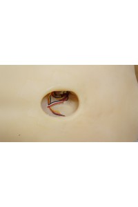 AXB Doll #84ヘッド 140cmCカップ バスト中 中空胸 自立加工 視線移動 肌色 ホワイト