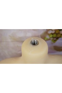 AXB Doll #84ヘッド 140cmCカップ バスト中 中空胸 自立加工 視線移動 肌色 ホワイト