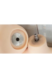 【初心者応援パック 中古】Sino Doll #S41 LinChun ヘッド 161cm Hカップ最新作「戦闘機」