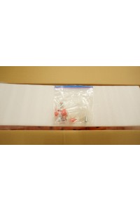 【中古】【中古美品】CatDoll 136CM TPEボディ単品