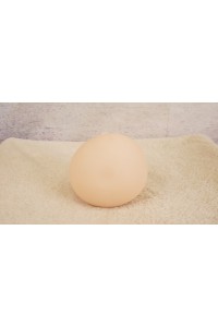 【O国内検品済 新品未使用即納品】 Butterfly Doll #Shiori Aヘッド単品 (80cm推奨)