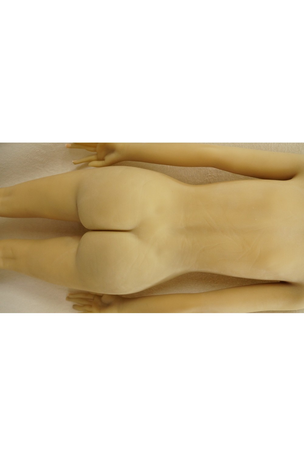 【中古】AXB Doll #TC31Rヘッド 130cm バスト大