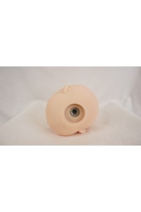 【O国内検品済 新品未使用即納品】 Butterfly Doll #Hanna 2ヘッド単品 (100cm推奨)