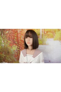 WM Dolls #85 145cm Bカップ 陰毛植毛OP 自立加工OP 新骨格OP 肌色 ライトブラウン