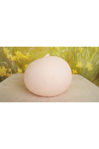 【O中古美品】蛍火日記 #莲（Lian）軟性シリコンヘッド（オーラル可能、描く眉毛と付け睫毛） 単品(160〜170cm推奨)