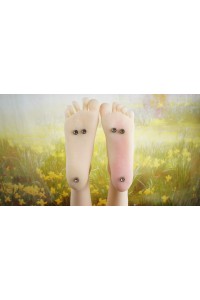 【中古】【初心者応援パック 中古美品】Aotume Doll #12ヘッド 145cm Dカップ