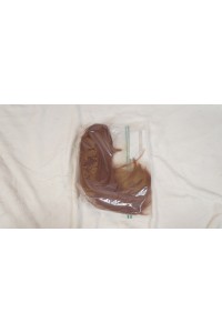 AXB DOLL #A169 110cm バスト平 新骨格 肌色 ナチュラル