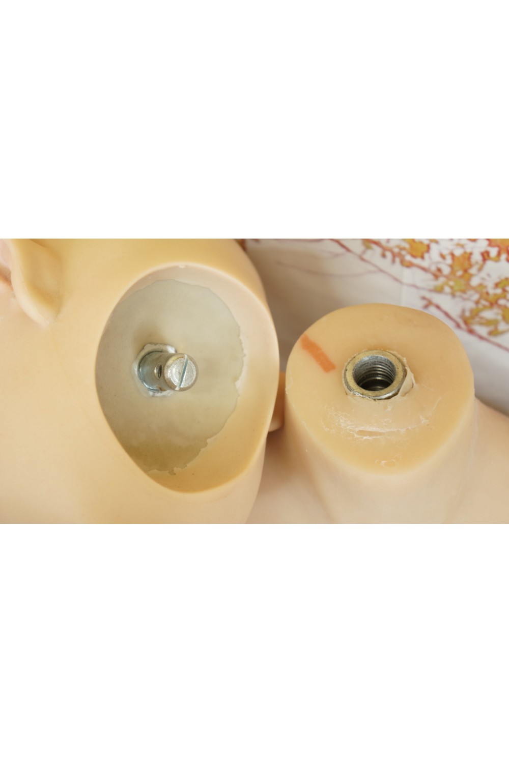 【初心者応援パック 美品】XYDOLL #1硬質シリコンヘッド138cm AAカップ貧乳 衣装付属 自立加工OP 睫毛や眉毛の植毛 視点移動 EVO新骨格 肌色 ナチュラル
