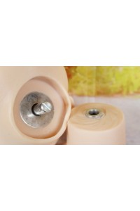 【初心者応援パック 美品】BB Doll #C38ヘッド 150cm Fカップ 衣装付属 ゼリー胸 眉毛,下睫毛植毛 血管メイク 人肌模様加工 自立加工OP 視線移動 新骨格 肌色 ナチュラル
