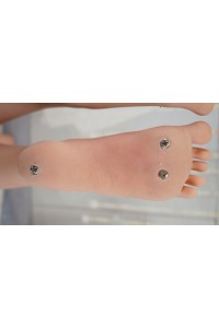 【初心者応援パック 美品】SEDOLL #76ヘッド 161cm Fカップ 衣装付属 ゼリー胸 自立加工OP 新骨格OP 肌色 ライトブラウン