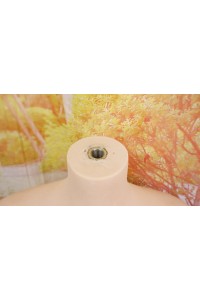【中古】【O新古超美品 ホール未使用品】FANREAL 170cm Dカップ ハードハンドOP シリコンボディ単品 【オプション多数】