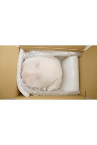 【中古】【中古超美品】CatDoll #美穗Miho ヘッド単品(115～135cm推奨)