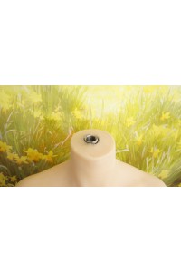 【中古】My Loli Waifu 148cm Bカップ TPEボディ単品