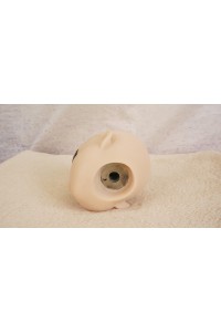【O国内検品済 新品未使用即納品】 DollHouse168 色気美人 #Maryシリコンヘッド単品(90〜95cm推奨)