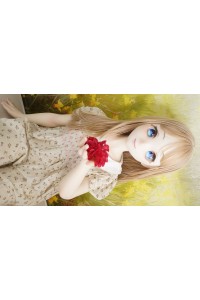 【O初心者応援パック 新古超美品ホール未使用品】LASDOLL（LAS漫研）#A11シリコンヘッド 146cm-AAカップ（二次元体型）【フルシリコン製】