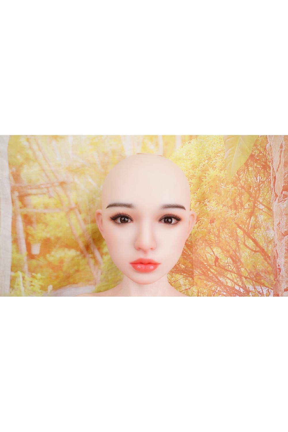 【中古】【O初心者応援パック 新古超美品ホール未使用品】アート技研(Art-doll) #A9軟質シリコンヘッド88cm Eカップ トルソー M16ジョイント汎用版