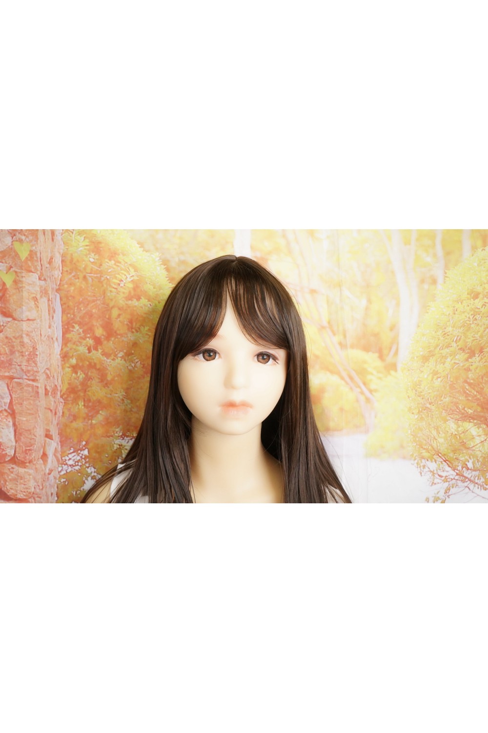 【初心者応援パック 中古超美品】オリエント工業 Jewel #めぐヘッド バスト大 (フリーボディ)