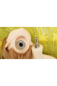 【中古】【初心者応援パック 中古超美品】 DollHouse168 色気美人 #ネコ娘シリコンヘッド 髪の毛の植毛 90cm Dカップ 【フルシリコン製】【生産終了モデル】