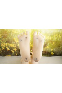 【中古】Momodoll #詩 H027-Aヘッド138cm Aカップ