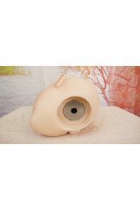 【中古】【O中古超美品】Top Sino Doll #T1ヘッド単品(150〜160cm推奨) 【RRSメイク版】