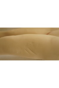 【中古】DL DOLL #S008寿美礼 ヘッド158cm