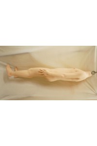 【中古】【初心者応援パック 中古超美品】J-cute #AGB08衣音 硬めシリコンヘッド 髪の毛の植毛OP 133cm バスト平 ハードハンド(手首から指先まで硬め） 自立加工 ハードフィート(足首から足裏まで硬め)OP EXP骨格OP リアルメイク付き 軽量化ボディ 【フルシリコン製】【オプション多数】