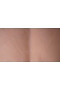 SEDOLL 161cm Fカップ #76ヘッド セックスロボット機能 植毛仕様 中空胸 自立加工 音声加工 オプション多数 肌色 ライトブラウン