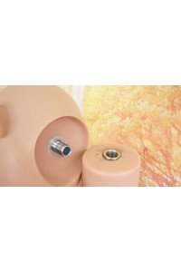 【中古】【初心者応援パック 中古超美品】FANREAL #Gina硬めシリコンヘッド 155cm Fカップ