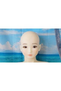 【中古】AXB Doll #A84ヘッド 140cm バスト中