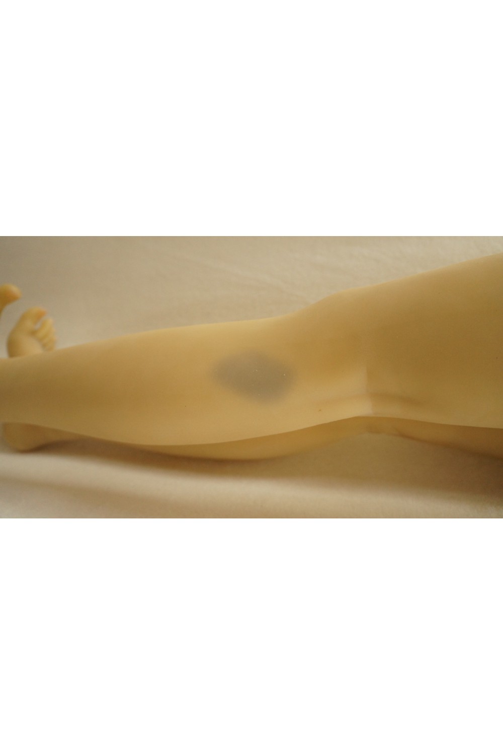 【中古】AXB Doll #TC31Rヘッド 130cm バスト大