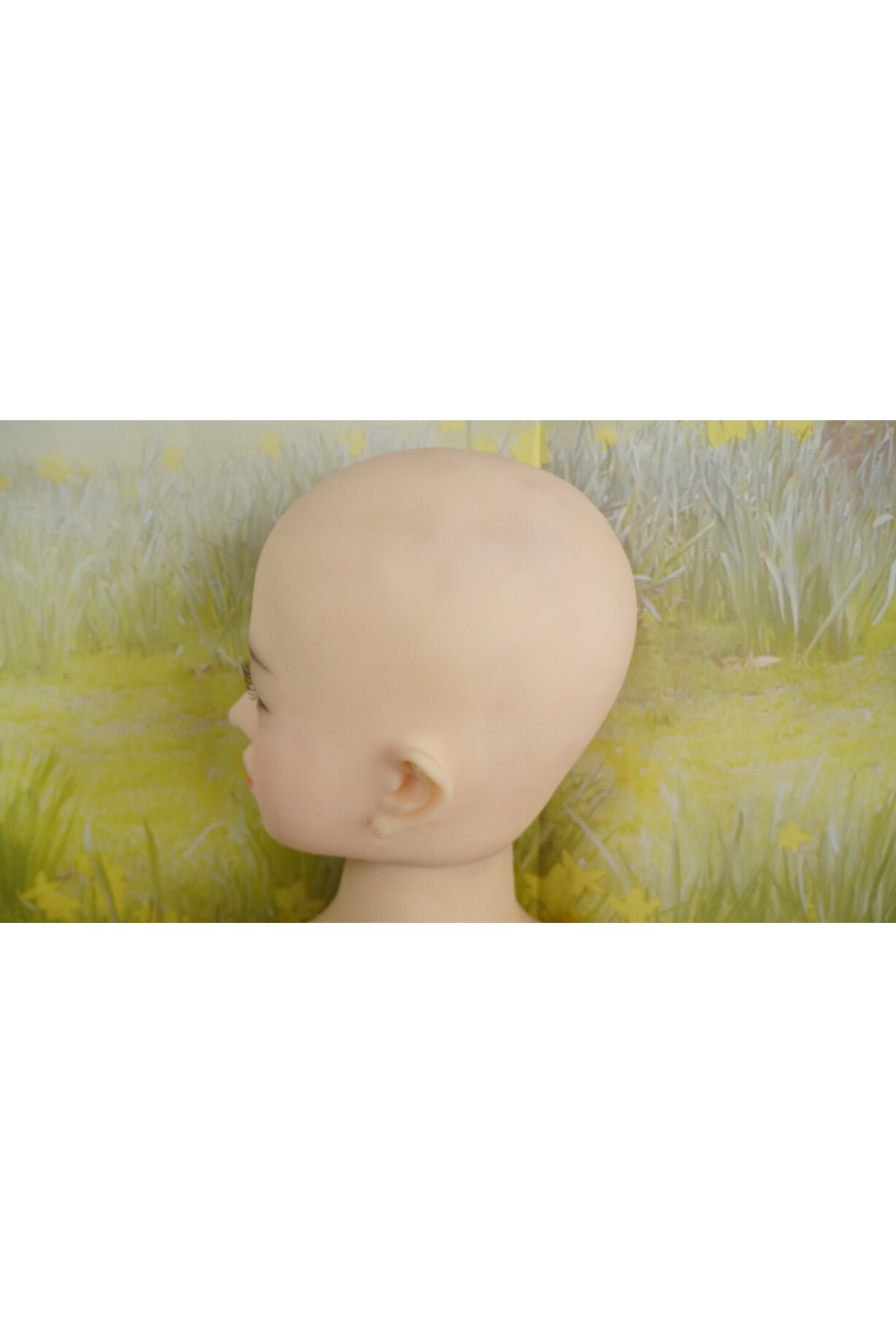 【中古】【中古美品】JY Doll #135ヘッド148cmバスト大