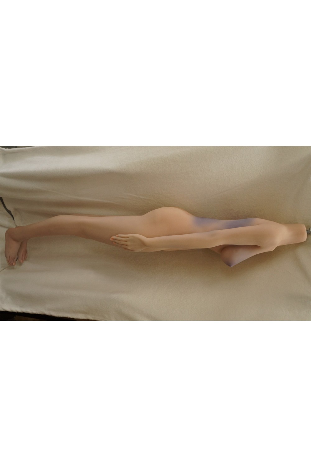 【中古】Real Girl #C3ヘッド 158cm Cカップ (C工場製)