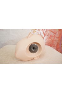 【中古】【O新古超美品 ホール未使用品】SHEDOLL #北栀（Beizhi）(眠り目)軟質ヘッド「模擬口腔・オーラル機能・顎関節」OP 単品(140〜148cm推奨)