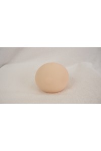 【O国内検品済 新品未使用即納品】 Butterfly Doll #嘉娜 (カナ) ヘッド単品 (80cm推奨)