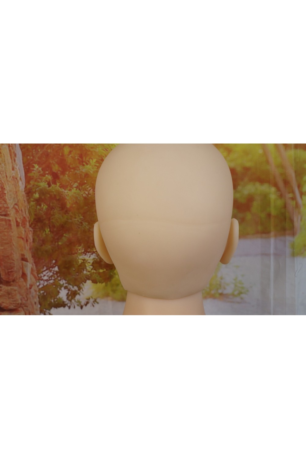 SEDOLL #76ヘッド +#79ヘッド 163cm Eカップ 中空胸 自立加工OP 陰毛植毛 新骨格OP 肌色 ナチュラル