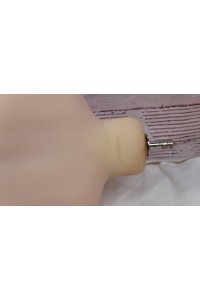 SMDOLL#12ヘッド 100cm AAカップ小胸 口内舌付き 眼球移動 EVO新骨格 肌色 ホワイト