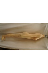 【初心者応援パック 中古美品】Sanmu doll #S9 硬めシリコンヘッド 148cm Bカップ