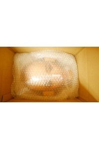 【新品未使用品 ホール未使用品】GD Sino Doll #G6(洛悠) ヘッド BRメイク 音声加工OP 眉毛と睫毛の植毛OP 視点移動 シリコンヘッド単品