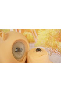 【中古】【初心者応援パック 中古】SM Doll #6 胜雅ヘッド 158cm Kカップ
