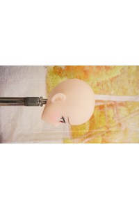 【O国内検品済 新品未使用即納品】 DollHouse168 色気美人#RicoAヘッド単品 (80cm推奨)