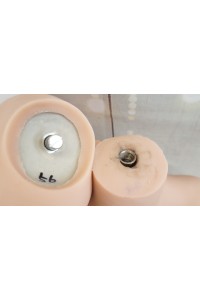 【中古】WM Dolls #56＋#70 170cm D-cup 欧米仕様 ゼリー胸OP 自立加工OP 新骨格OP 指関節OP 肌色 ライトブラウン