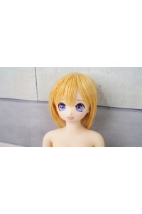 【中古美品 ホール未使用品】minidoll #S1ヘッド 53cm 普通乳