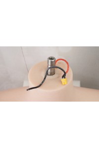 【中古超美品】Top Sino Doll #T31ヘッド90cm Fカップ トルソー