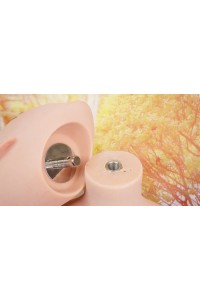 【中古】【O初心者応援パック 新古超美品ホール未使用品】FANREAL #Vivi軟質シリコンヘッド109cm Fカップ 欧米風