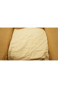 【O新品未使用即納品】catdoll #Ya シリコンヘッド単品(136〜146cm推奨)【RBリアルメイク版】
