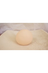 【O国内検品済 新品未使用即納品】 Butterfly Doll #リコA瞑り目ヘッド単品 (80cm推奨)