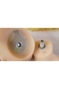 TPEドール #45-2 150cm Cカップ 中空胸 自立加工 新骨格 肌色 ナチュラル