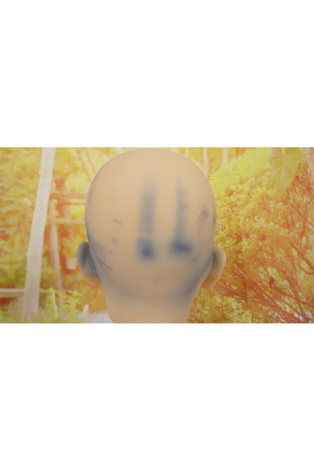 【中古】DollHouse168 #Sasaヘッド170cm (B工場製) ゼリー胸 EVO骨格OP 肌色 ナチュラル