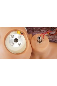 【中古】Sino Doll #4ヘッド155cm Jcup 胸とお腹と膣の柔らか仕上げ ヘッドBRメイク 自立加工OP 視点移動 温度加工OP 新骨格 肌色 日焼け